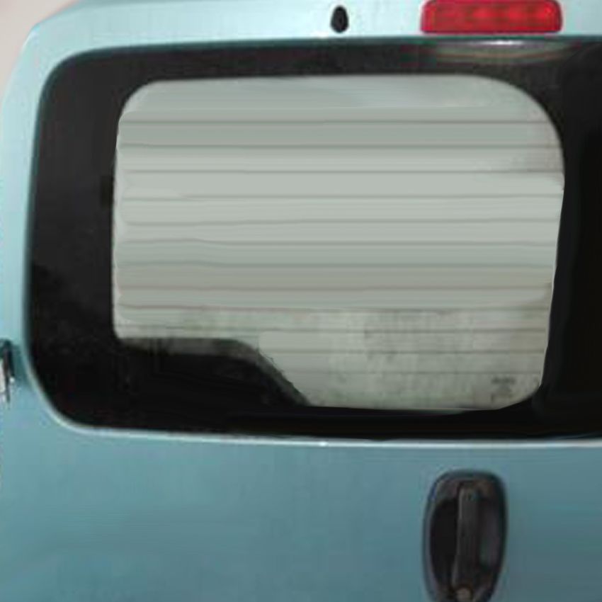 Nemo DPT sin limpia pp